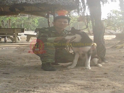 Chăm Sóc Chó Ngắn Hạn