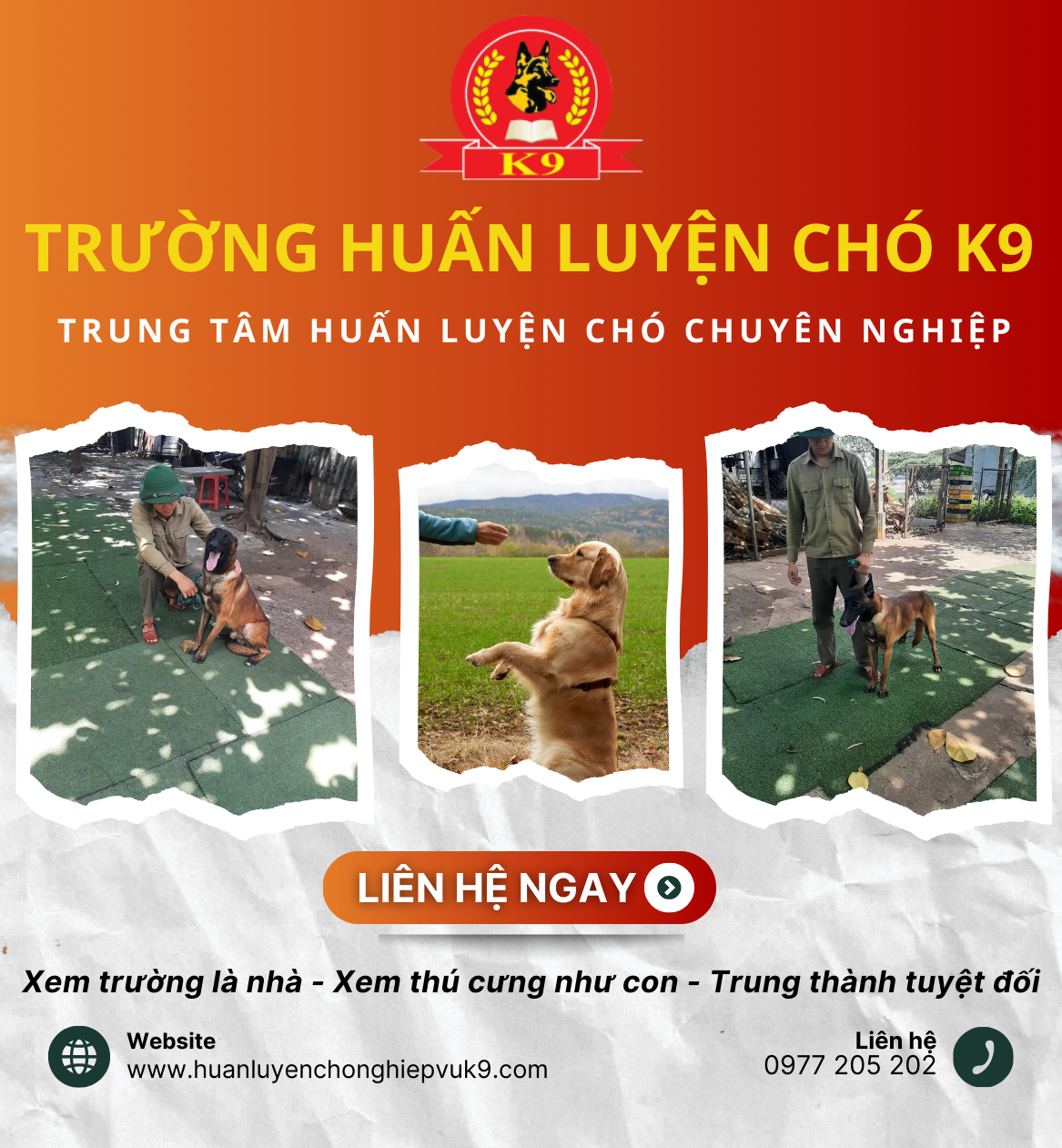 Hình ảnh liên hệ